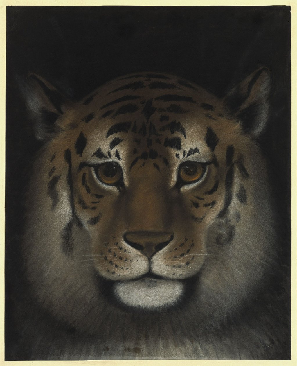 Tigrisfej alkotó: Franz Krüger