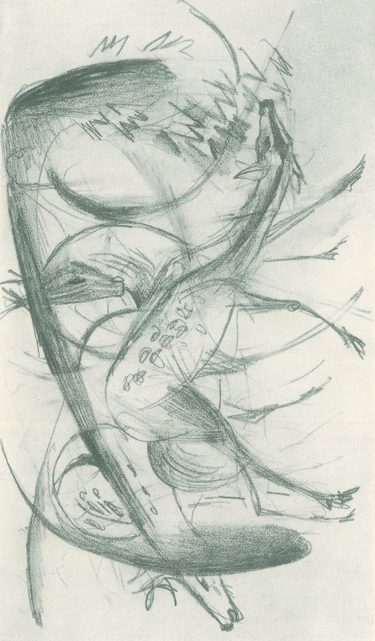 Franz Marc - Vázlatfüzet a terepről - Sheet 36 alkotó: Franz Marc