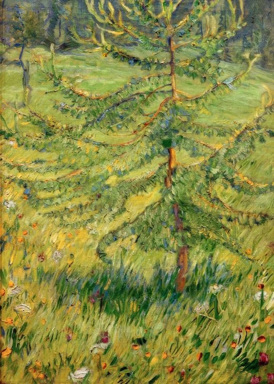 Fiatal vörösfenyő egy erdei réten alkotó: Franz Marc