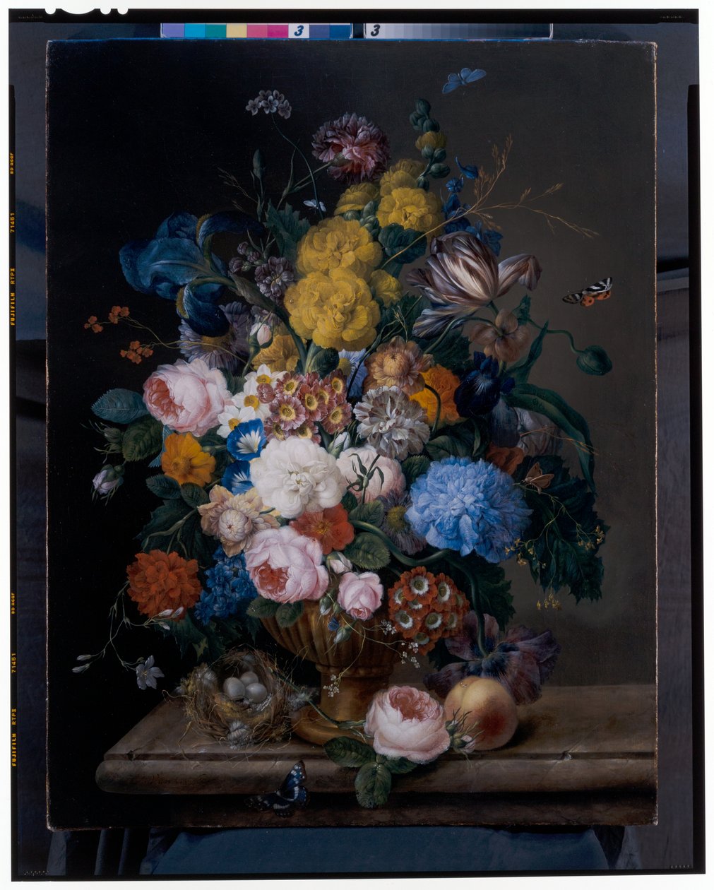 Roses, irises, carnations, tulips and other flowers in a bronze urn alkotó: Franz Xavier Petter