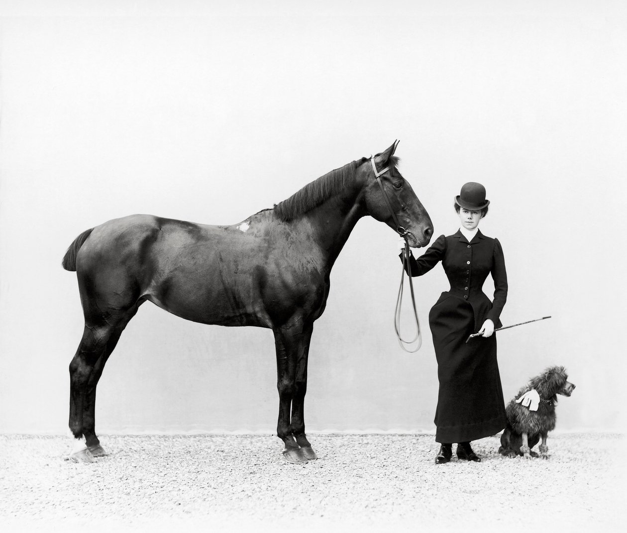 Miss Walsh portréja egy lóval és egy miniatűr uszkárral a Villa di Montefonte-ban, Firenze Poggio Imperiale területén, 1890 körül (üvegtábla) alkotó: Fratelli Alinari Fratelli Alinari