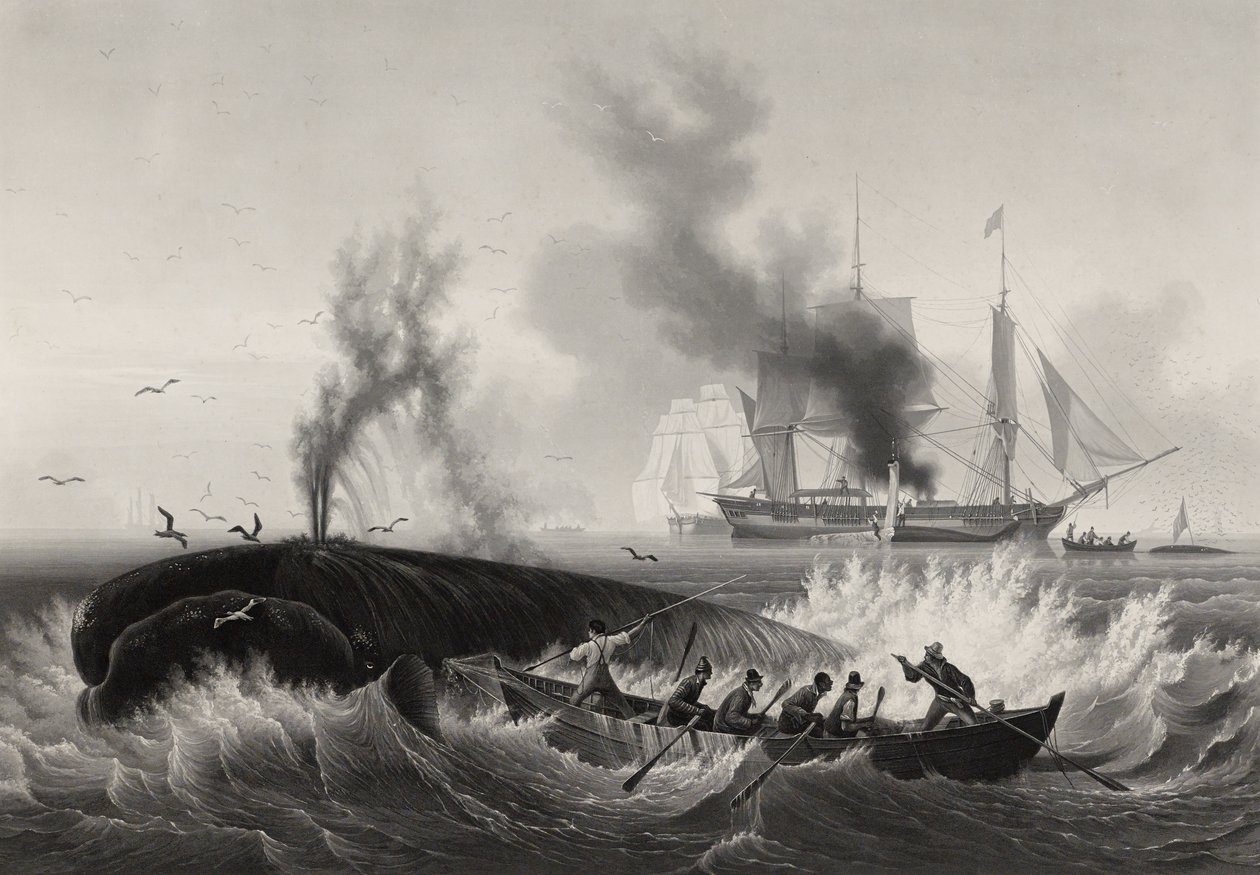 Pêche de la Baleine, 1834-35 (akvatinta és metszet metszet papírra) alkotó: Frederic Martens