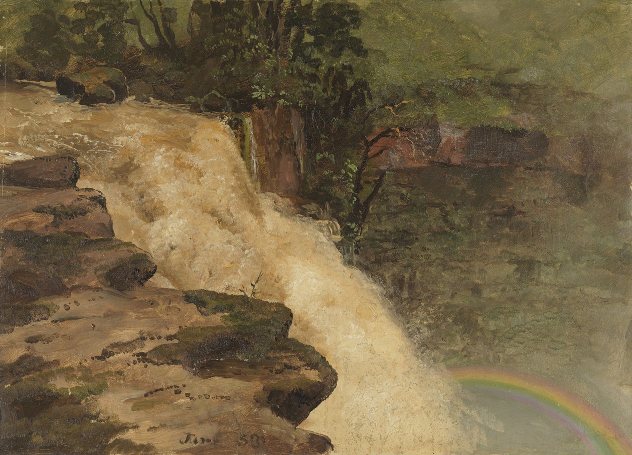 Vízesés Kolumbiában alkotó: Frederic Edwin Church