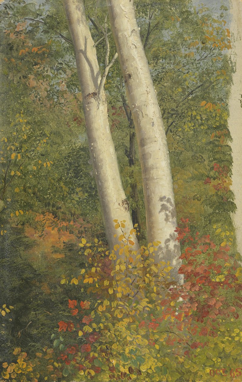 Nyírfák ősszel alkotó: Frederic Edwin Church