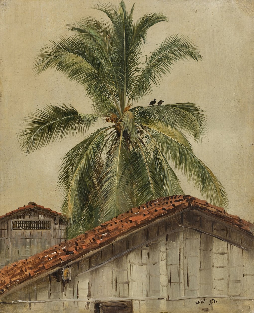 Pálmafák és háztetők, Ecuador alkotó: Frederic Edwin Church