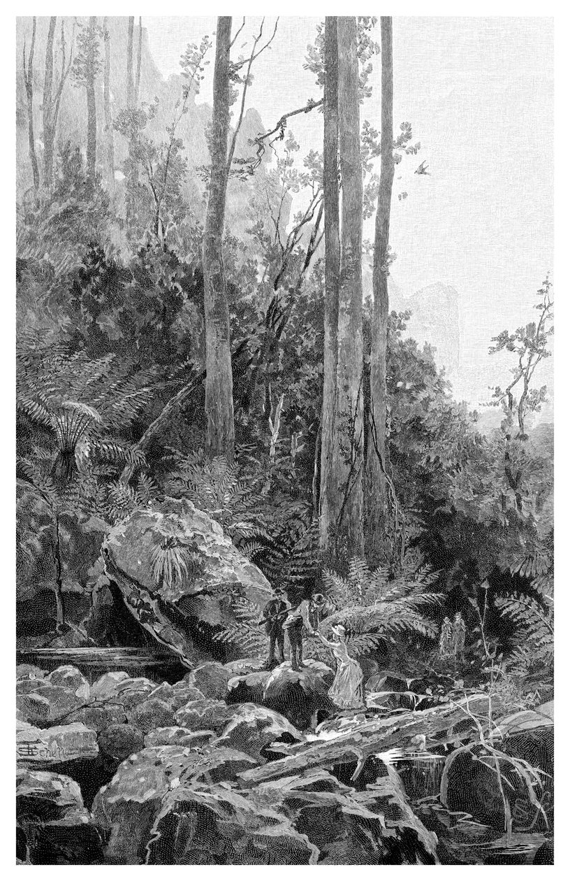 Víznyelő a Kék-hegységben, Ausztrália, 1886. alkotó: Frederic B. Schell