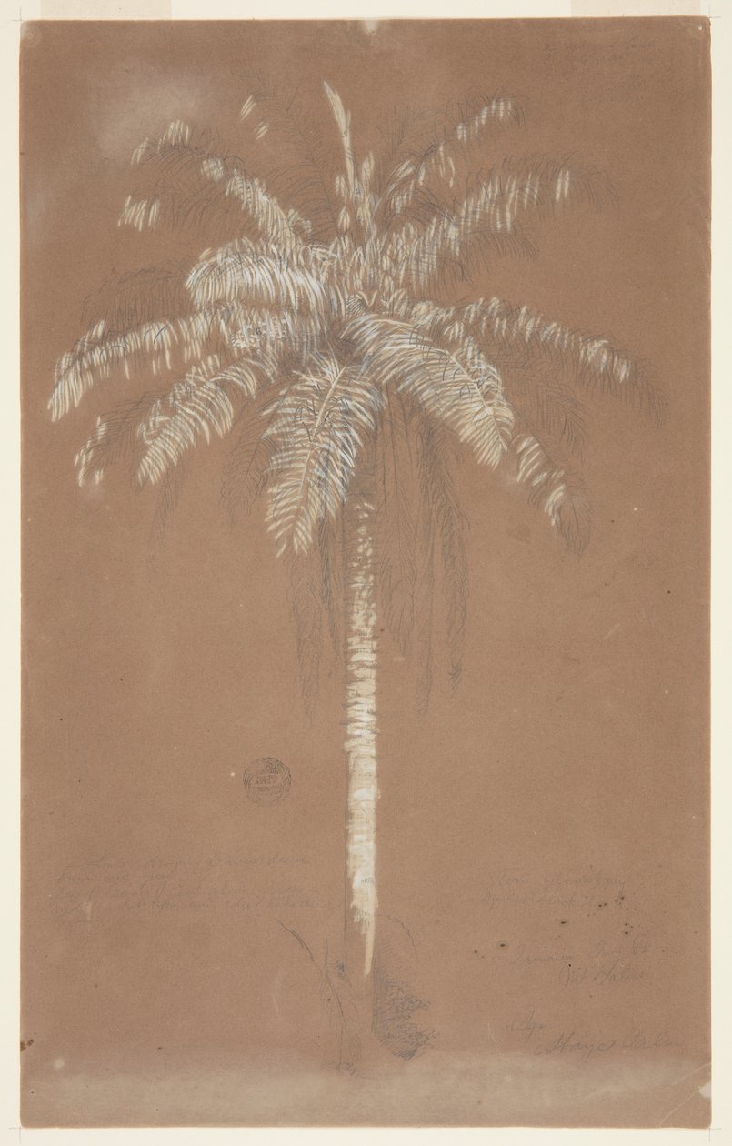 Gyerünk, Pam. sulus, jamaica alkotó: Frederic Edwin Church