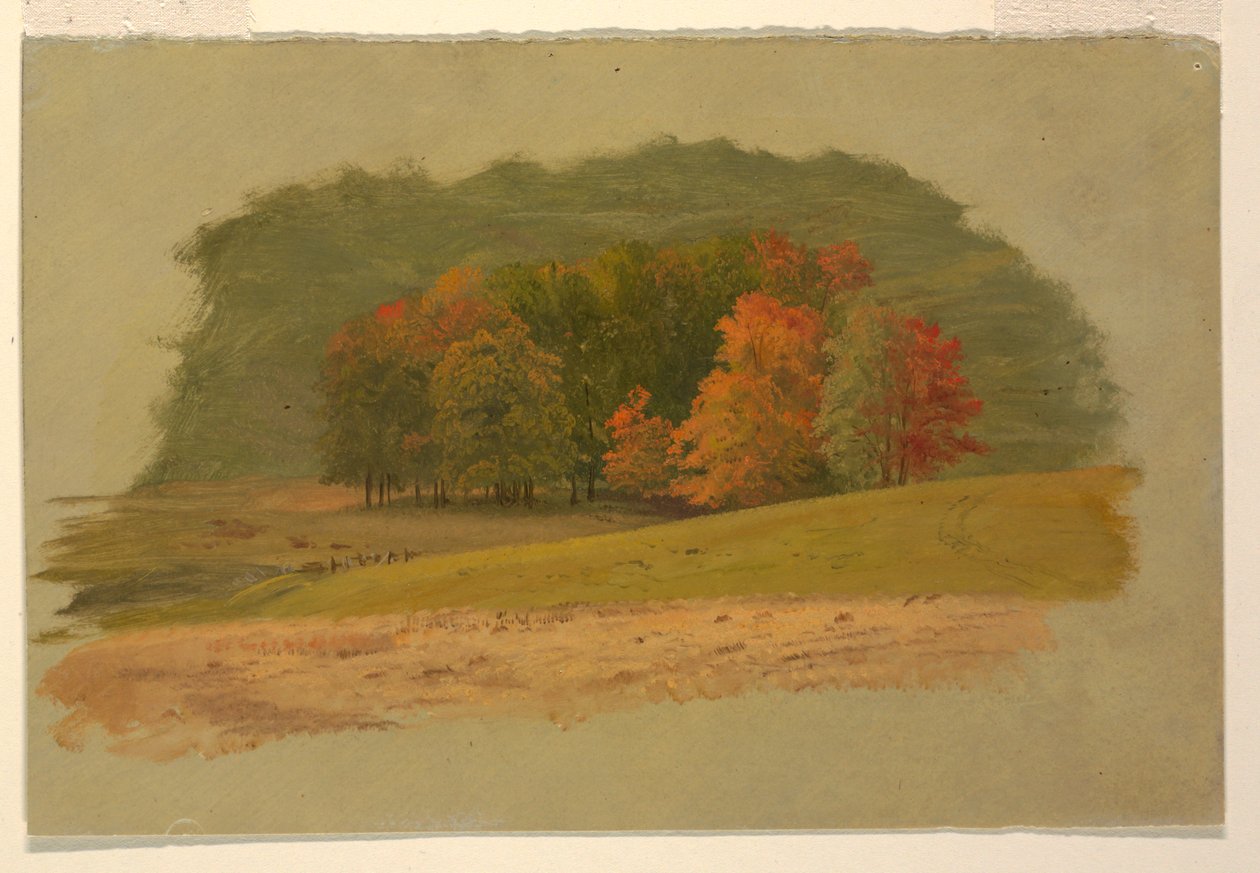 Őszi táj alkotó: Frederic Edwin Church
