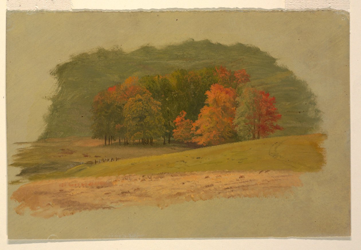 Őszi táj alkotó: Frederic Edwin Church