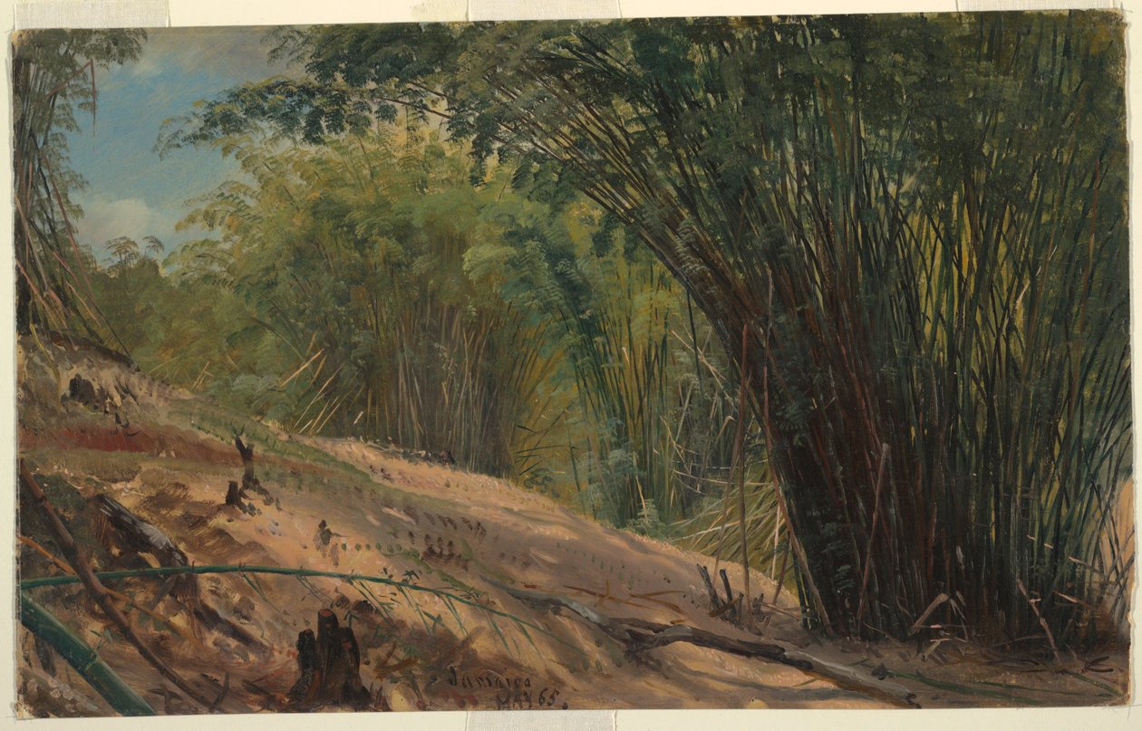 Bamboo Grove, Jamaica alkotó: Frederic Edwin Church