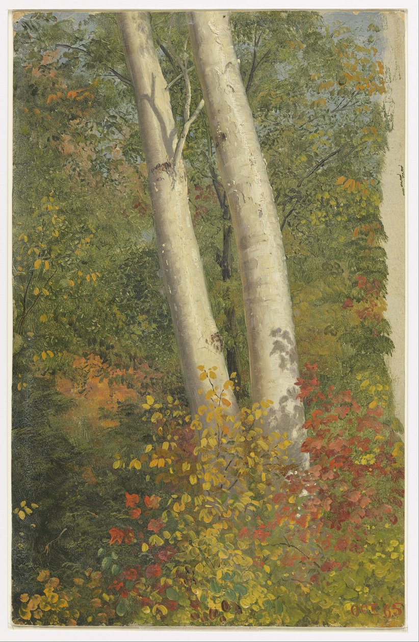 Nyírfák ősszel alkotó: Frederic Edwin Church