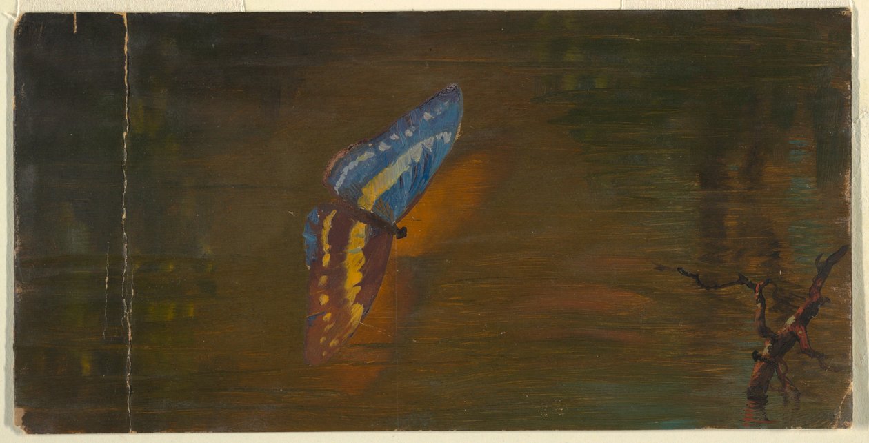 Pillangó víz felett alkotó: Frederic Edwin Church