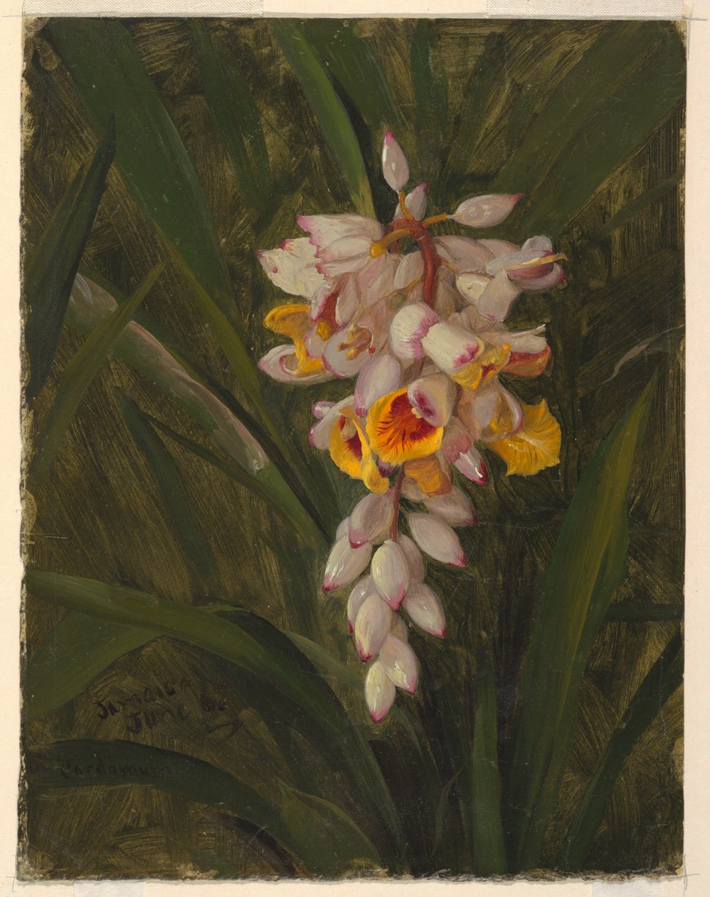 "Kardamom" alkotó: Frederic Edwin Church