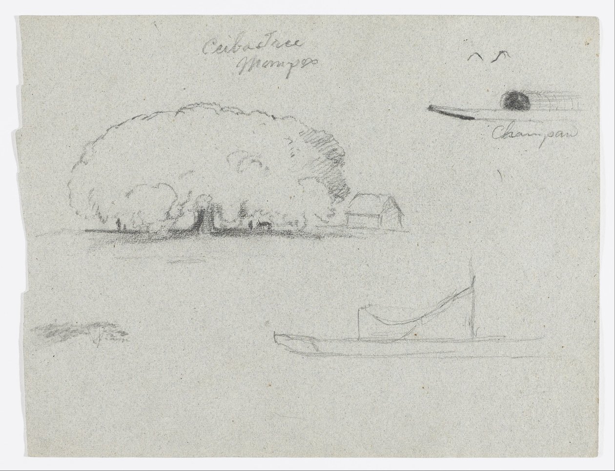 Ceiba fa Momposnál, Champan kenu, fák, és egy részleges csónak, Rio Magdelena, Kolumbia alkotó: Frederic Edwin Church