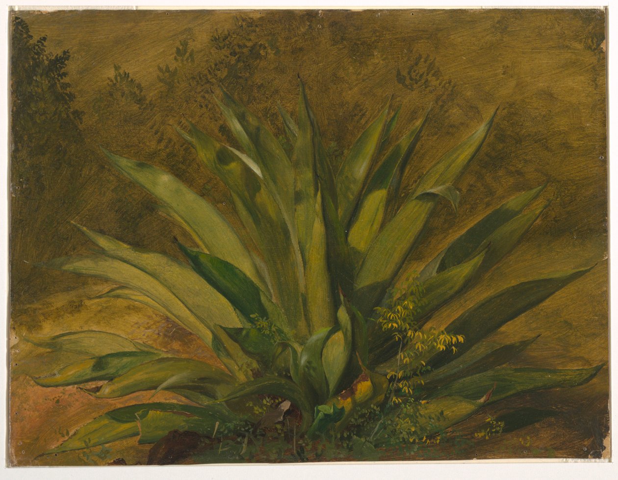 századi üzem alkotó: Frederic Edwin Church