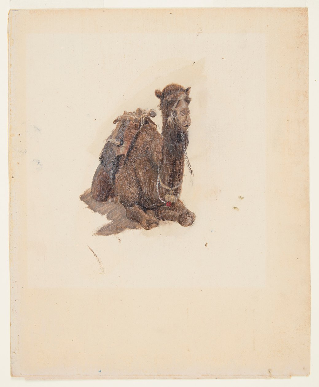 Guggoló dromedár alkotó: Frederic Edwin Church