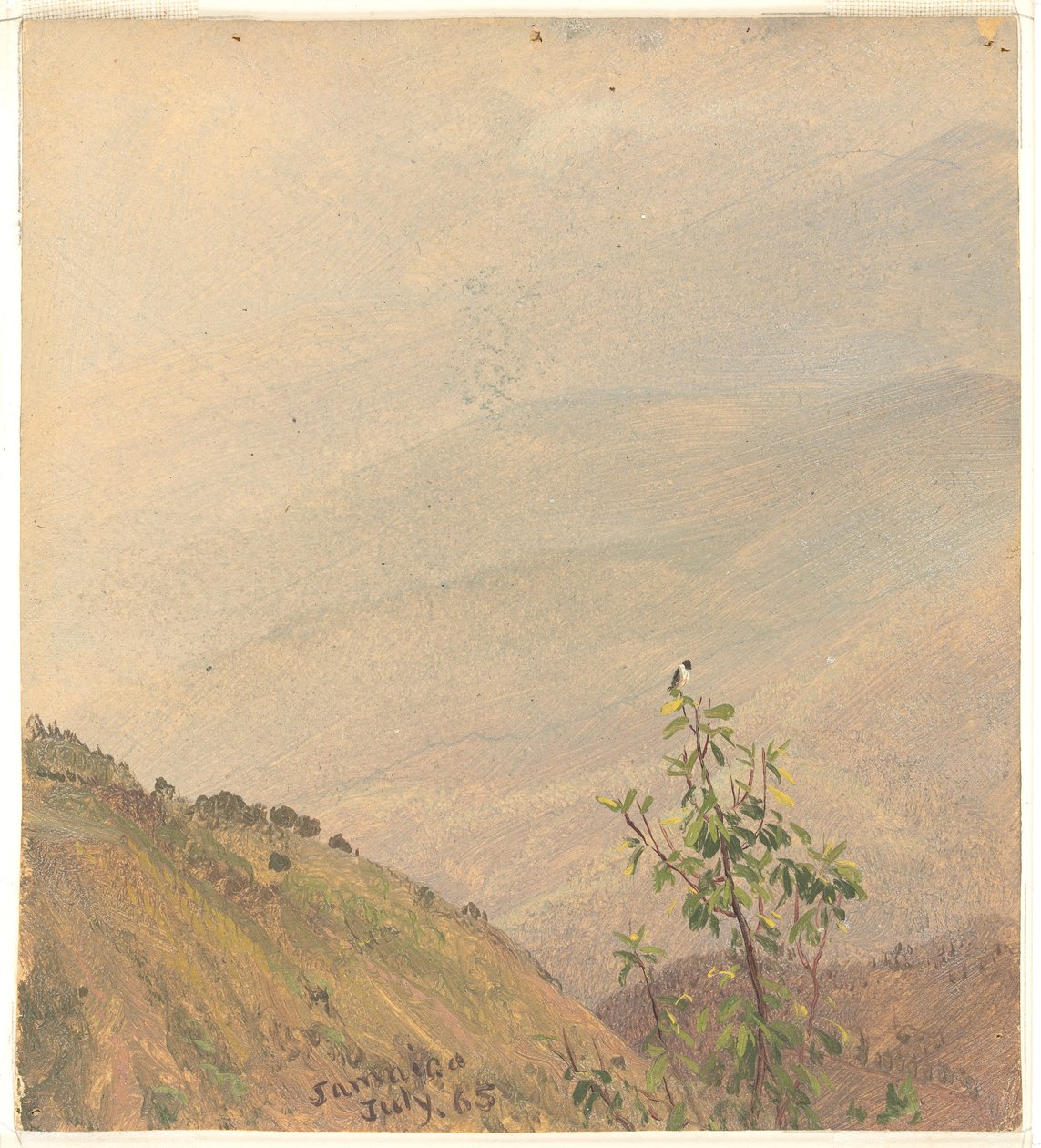 Distant Hills, Jamaica alkotó: Frederic Edwin Church