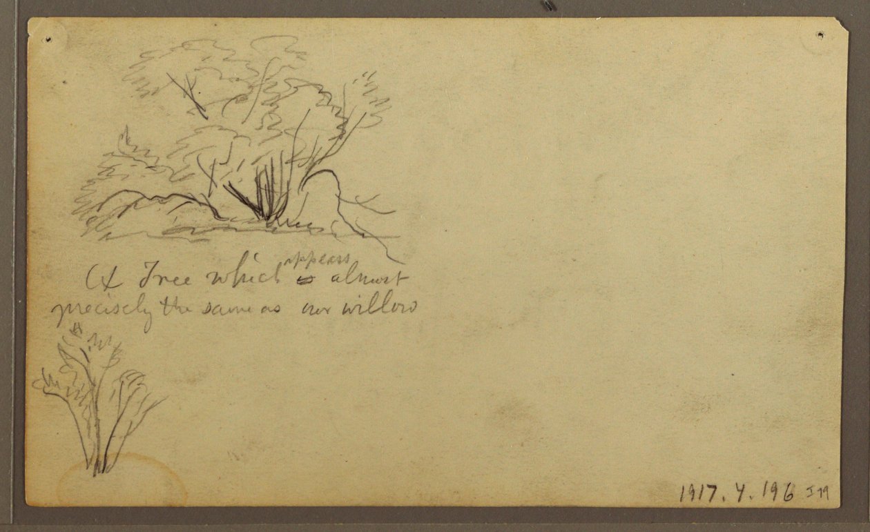 Rajz, A Hut on Posts, Guayaquil, Ecuador, 1857. május alkotó: Frederic Edwin Church
