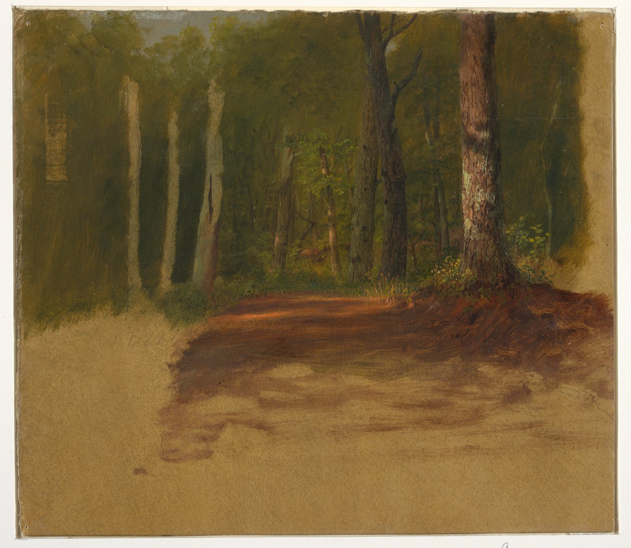 Rajz, Út az erdőbe, 1850-60 alkotó: Frederic Edwin Church