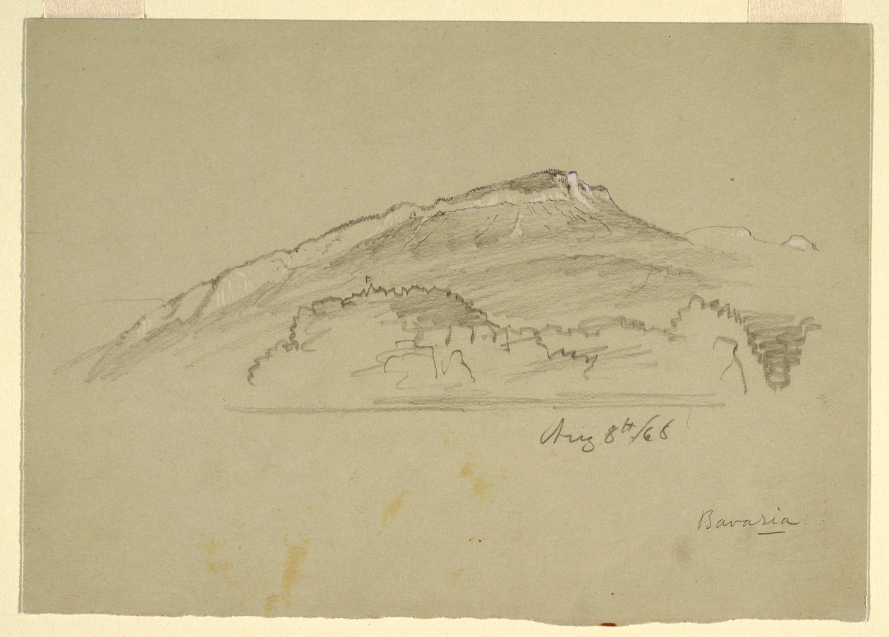 Rajz, Egy fa, Bajorország, 1868. augusztus 8. alkotó: Frederic Edwin Church