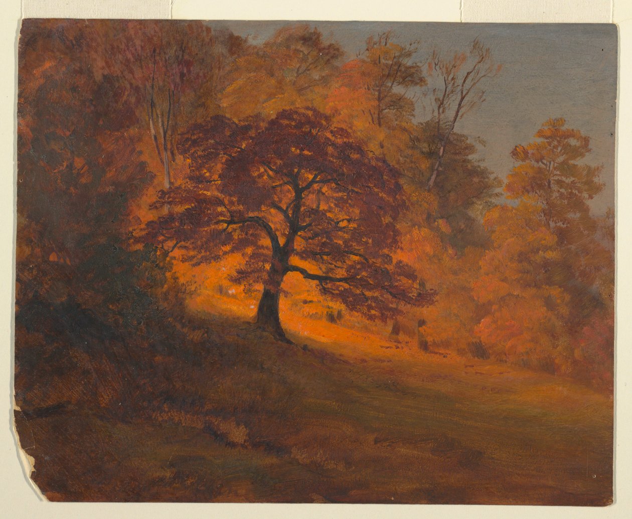 Rajz, Őszi lombozat, 1867 alkotó: Frederic Edwin Church