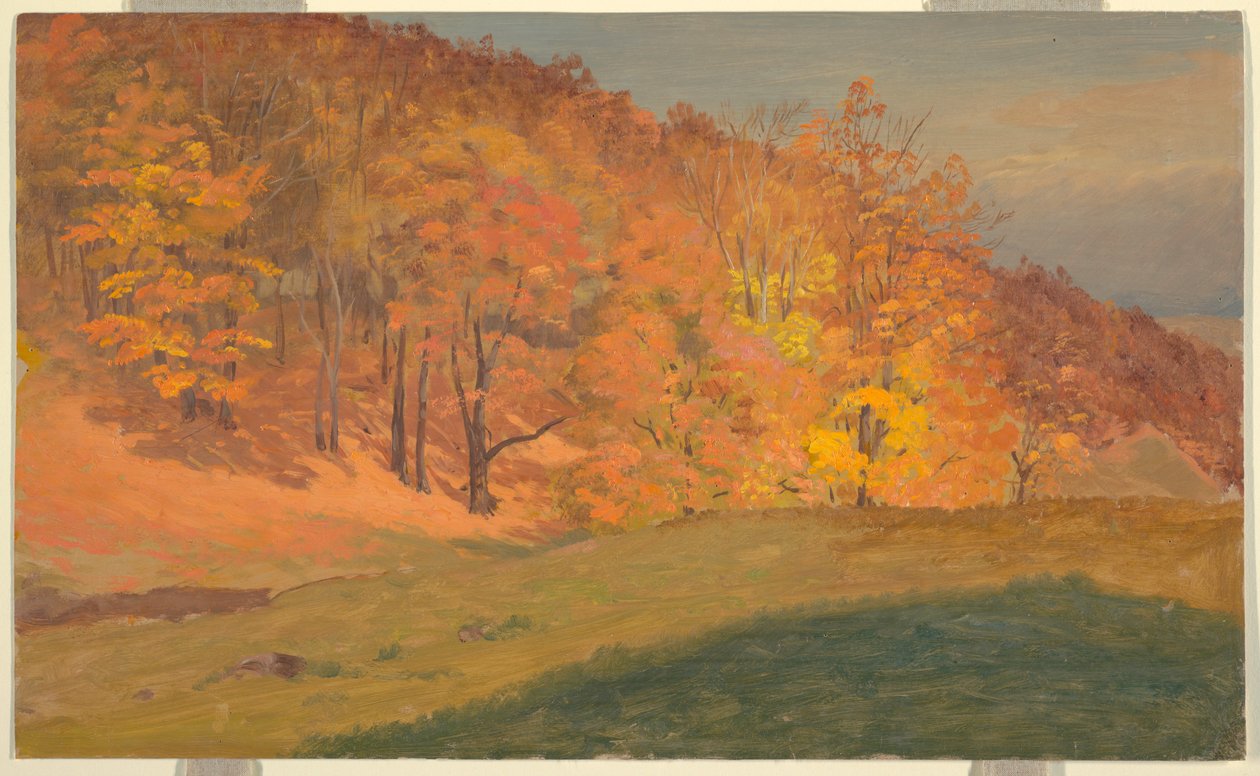 Rajz, Őszi erdő, 1870 körüli évek alkotó: Frederic Edwin Church