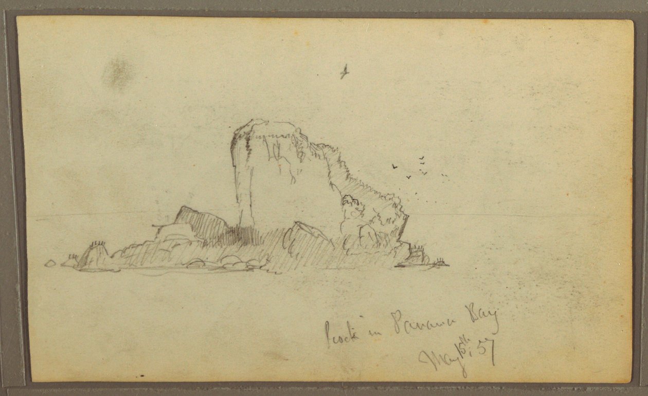 Rajz, Bireds, "Szikla a Panama-öbölben"; hátoldal: "Nehéz indák", 1857. május 15. alkotó: Frederic Edwin Church