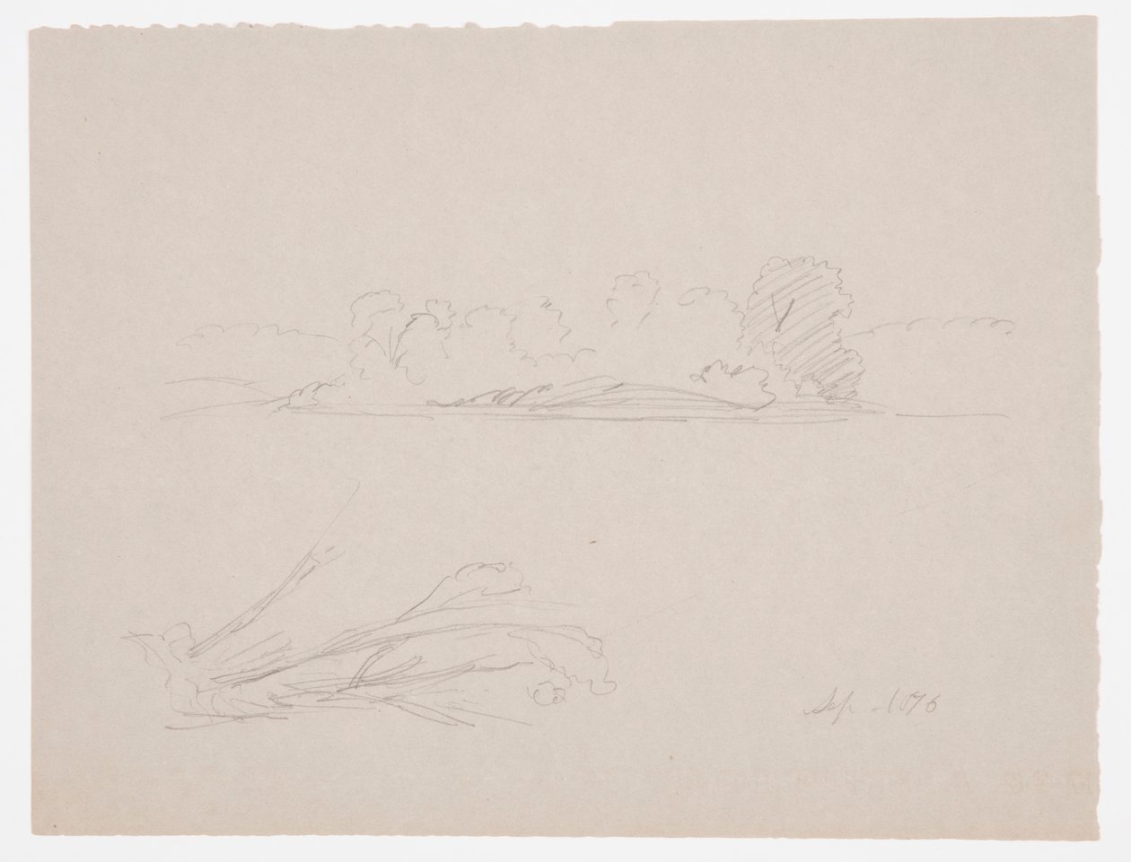 Rajz, Botanikai vázlatok: tájkép, fák a parton, 1876. szeptember alkotó: Frederic Edwin Church