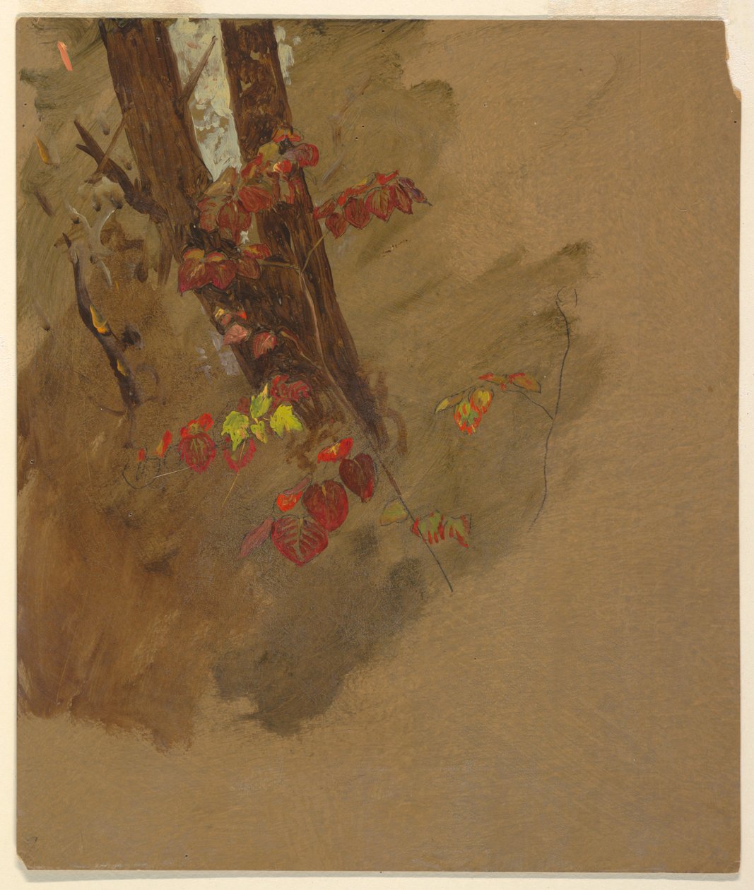 Rajz, botanikai tanulmányok, 1860-70 alkotó: Frederic Edwin Church
