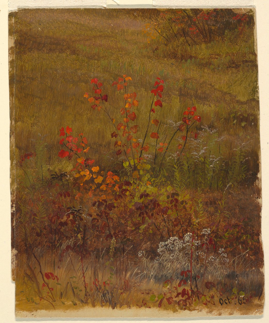 Rajz, Botanikai tanulmányok, 1865. október alkotó: Frederic Edwin Church