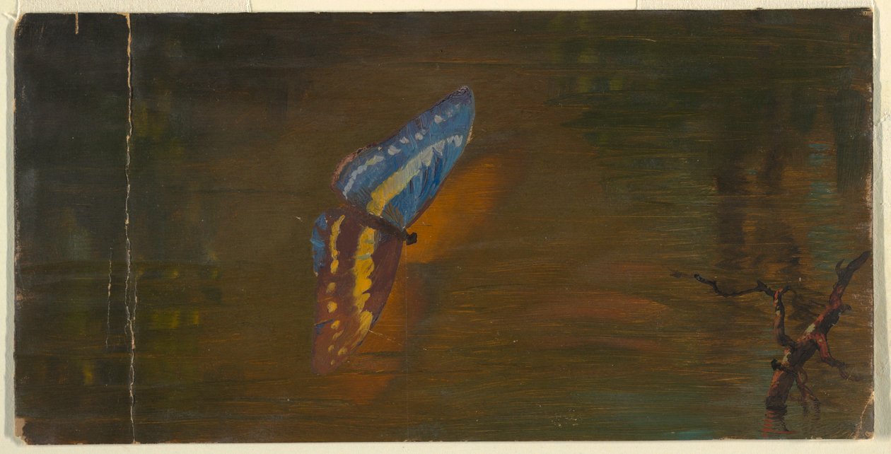 Rajz, Pillangó a víz felett, 1865 körül. alkotó: Frederic Edwin Church