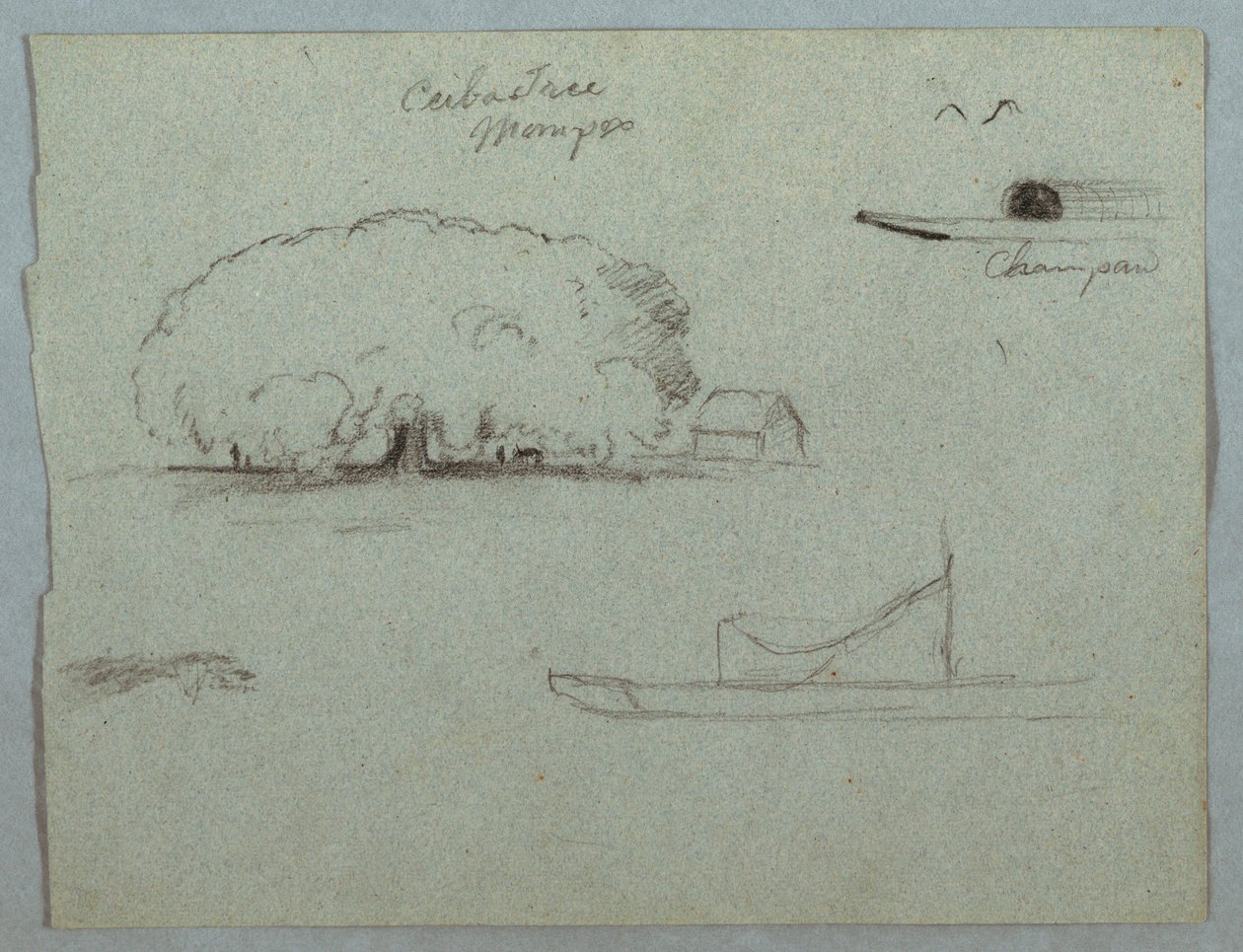 Rajz, Ceiba fa Momposnál, Champan kenu, fák és egy részleges csónak, Rio Magdelena, Kolumbia, 1853, valószínűleg május alkotó: Frederic Edwin Church