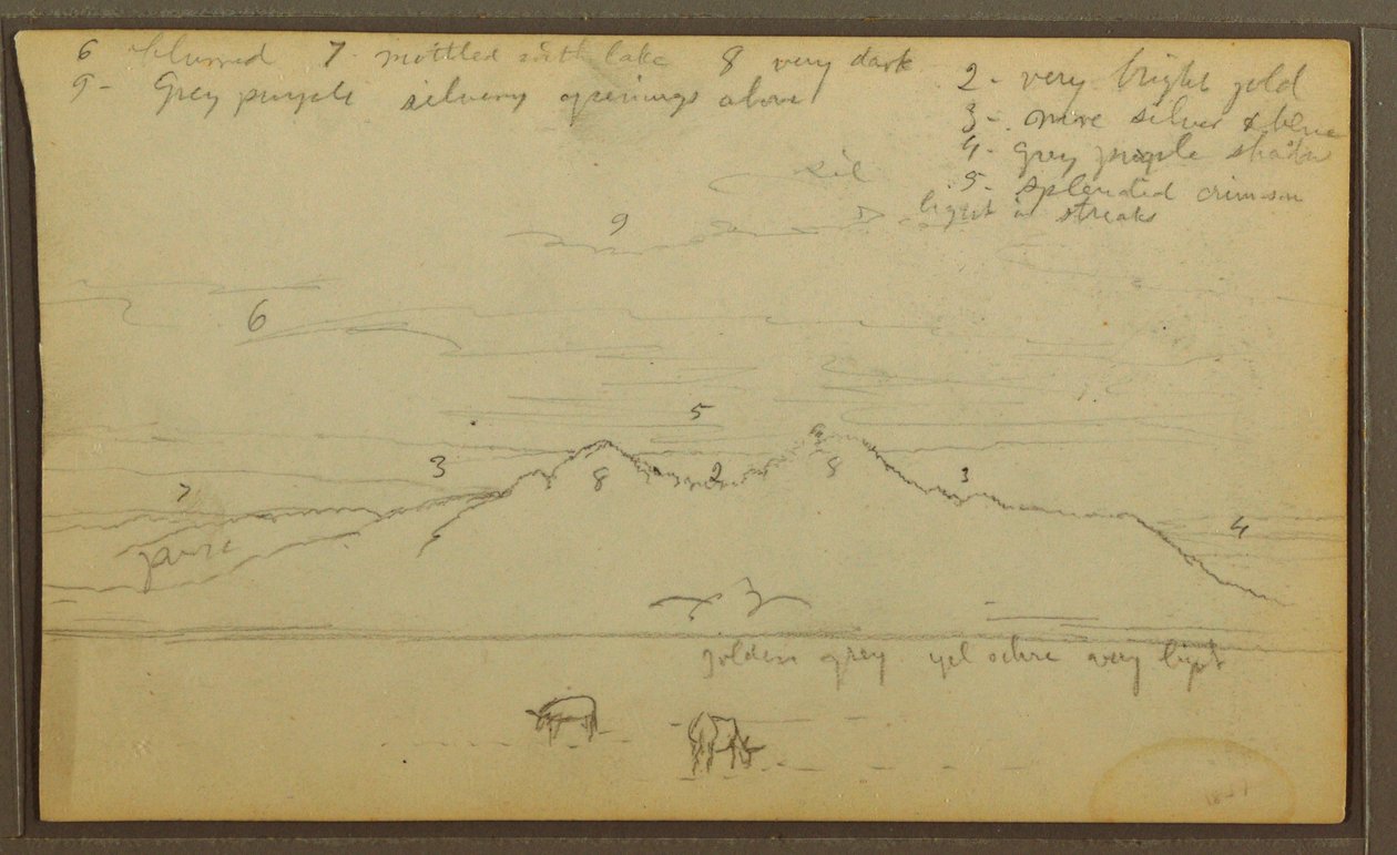 Rajz, Tehenek tájban; hátoldal: Bambusz, 1857 alkotó: Frederic Edwin Church