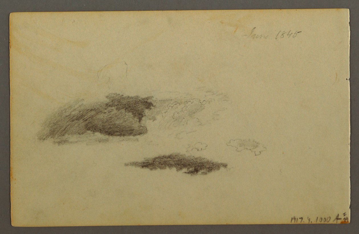 Rajz, korhadt nyírfa, 1844 alkotó: Frederic Edwin Church