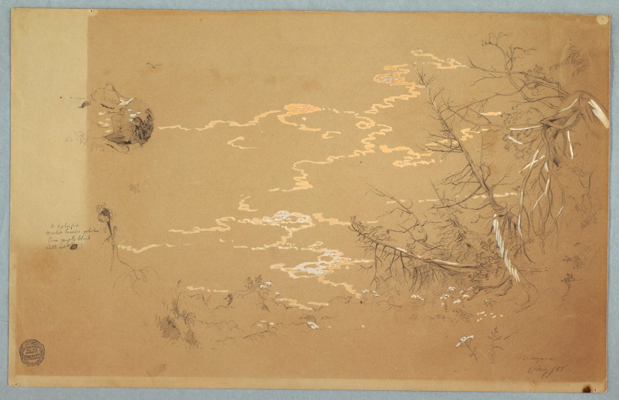 Rajz, A kanadai bank szélének részletnézete, 1858. augusztus alkotó: Frederic Edwin Church