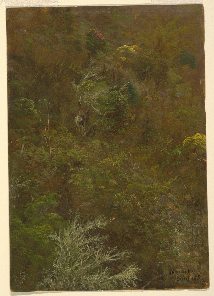 Rajz, Domboldal Bokrokkal és fákkal borított domboldal, 1865. július alkotó: Frederic Edwin Church