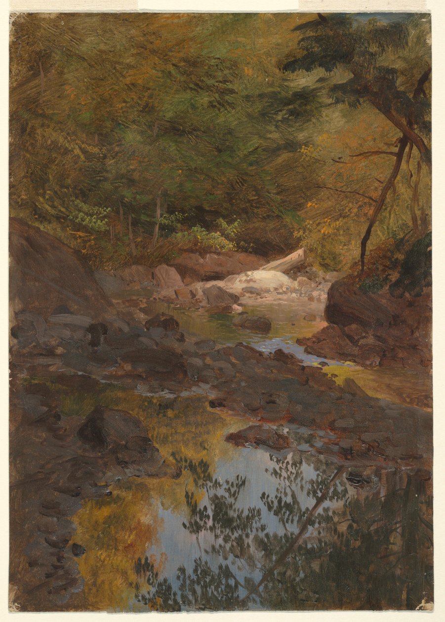 Rajz, Az új-angliai erdőkben, 1855-65 alkotó: Frederic Edwin Church