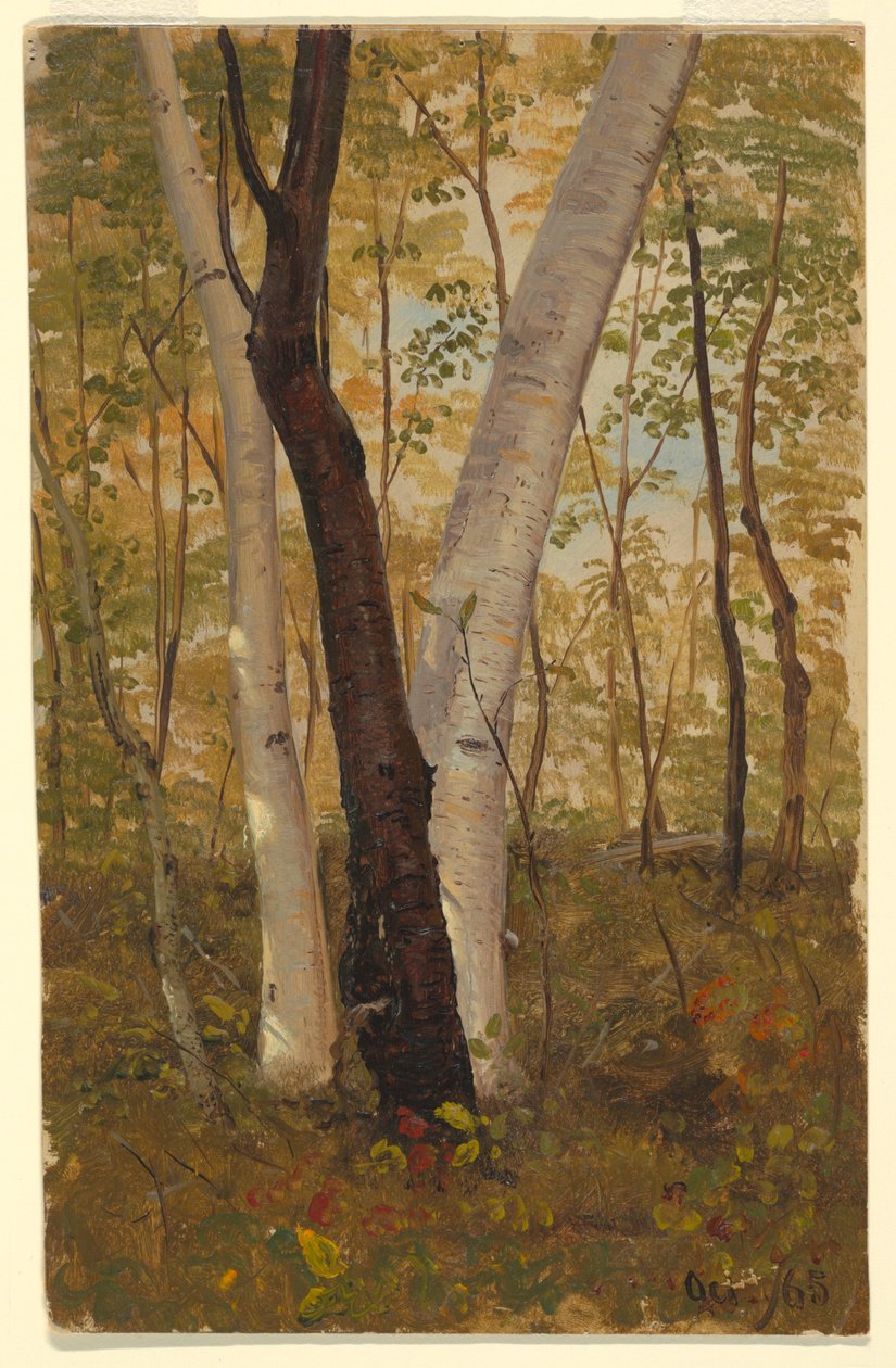 Rajz, Az erdőben, Hudson, New York, 1865 októbere alkotó: Frederic Edwin Church