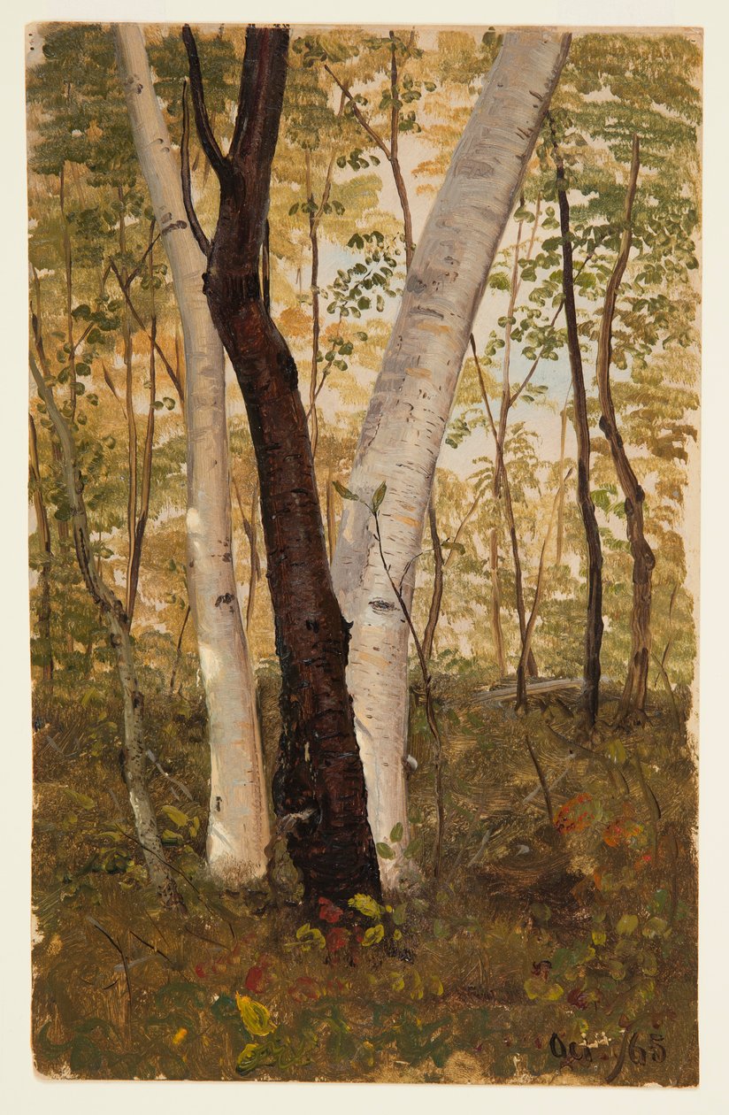 Rajz, Az erdőben, Hudson, New York, 1865 októbere alkotó: Frederic Edwin Church