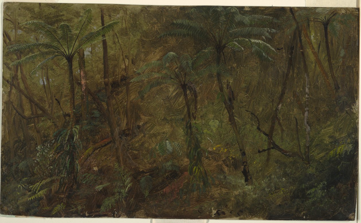 Rajz, A dzsamaciai erdőben, Nyugat-India, 1865 alkotó: Frederic Edwin Church