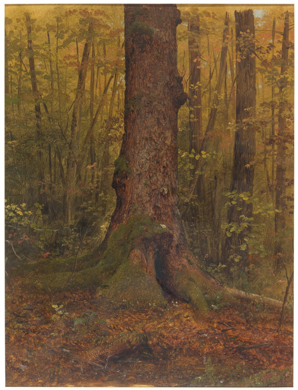 Rajz, Az erdőben, valószínűleg Maine, 1850-60 alkotó: Frederic Edwin Church