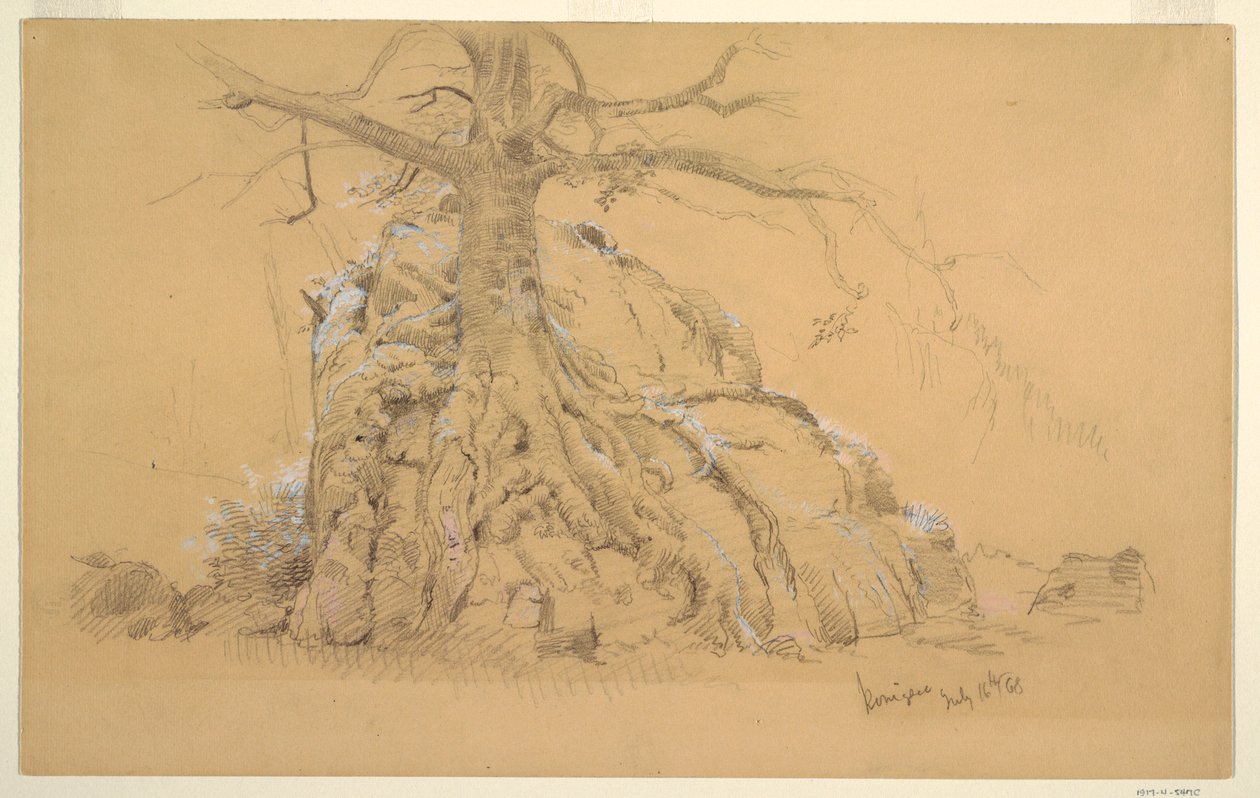 Rajz, Königssee fa, 1868. július 16. alkotó: Frederic Edwin Church