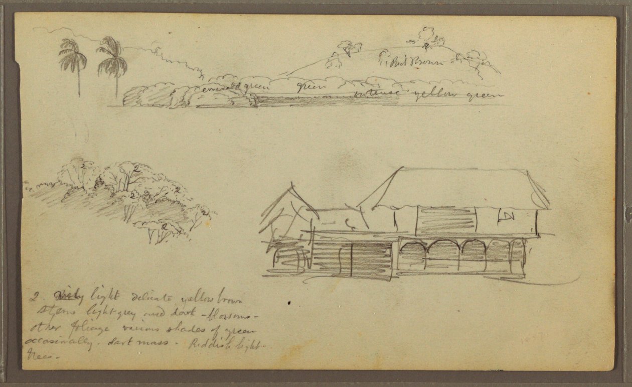 Rajz, Tájkép, fák teteje, ház, 1857 alkotó: Frederic Edwin Church