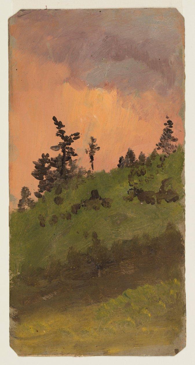 Rajz, Tájkép az erdőben, 1870. június alkotó: Frederic Edwin Church