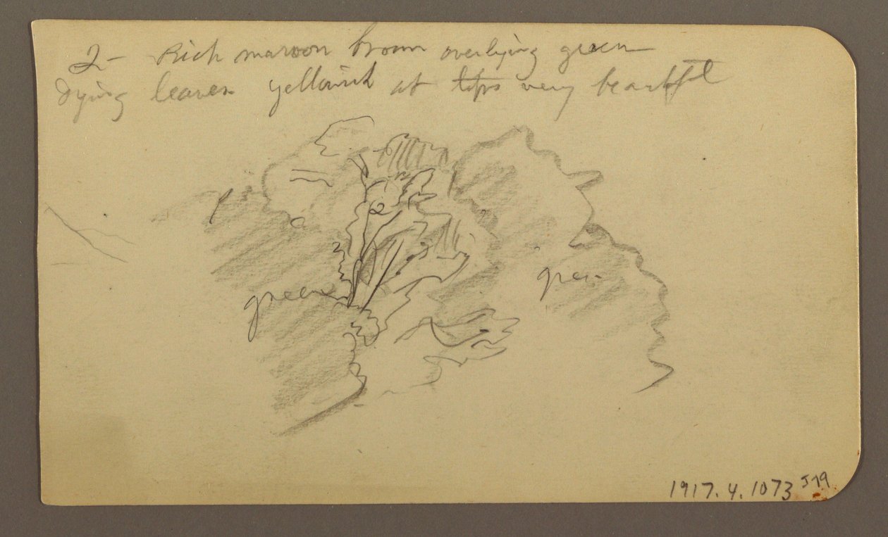 Rajz, Táj, házak; hátoldal: Fák teteje, 1885. február alkotó: Frederic Edwin Church