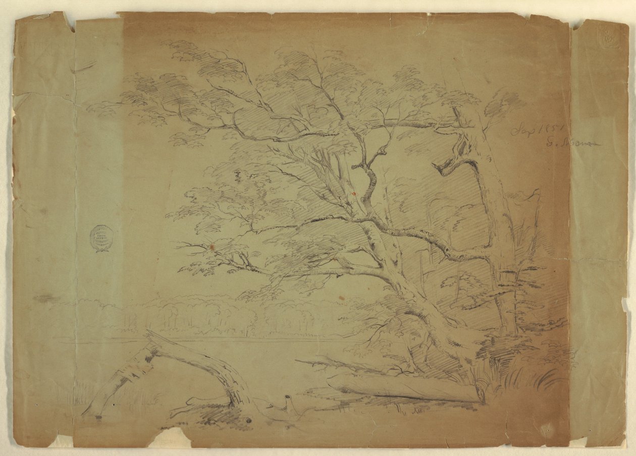 Rajz, Tájkép fákkal és patakkal [], Grand Manan-sziget, Kanada, 1851 szeptembere alkotó: Frederic Edwin Church