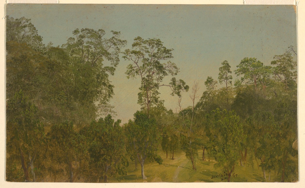 Rajz, Tájképek, 1865. július alkotó: Frederic Edwin Church