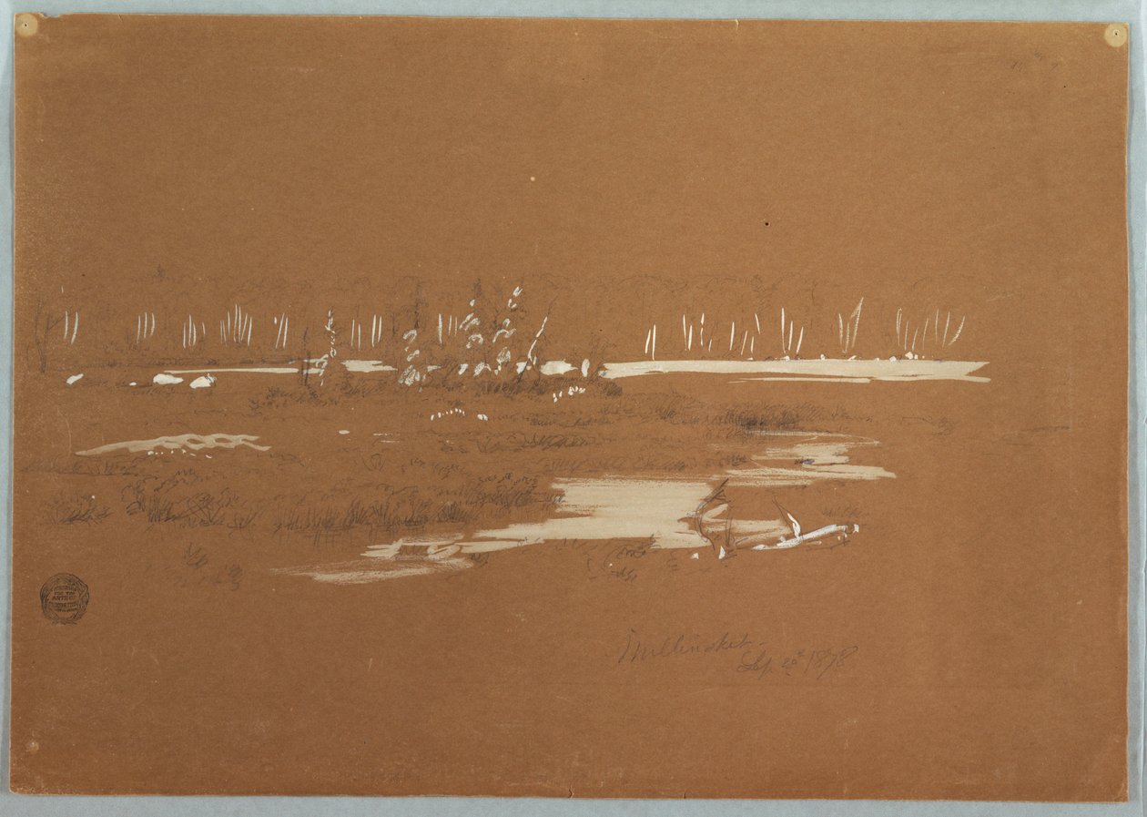 Rajz, Mocsaras táj Millinocket közelében, 1878. szeptember 20. alkotó: Frederic Edwin Church
