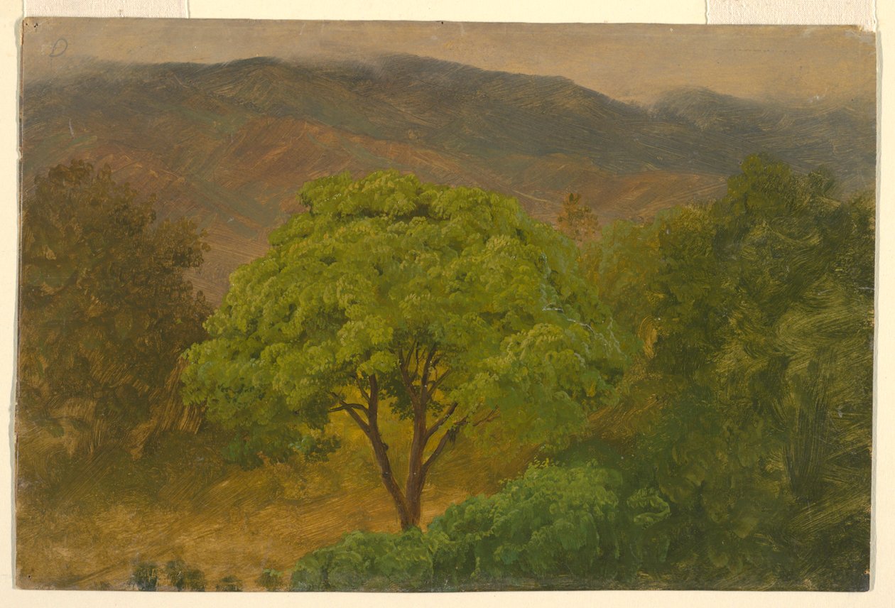 Rajz, hegyvidéki táj, 1865 augusztus alkotó: Frederic Edwin Church