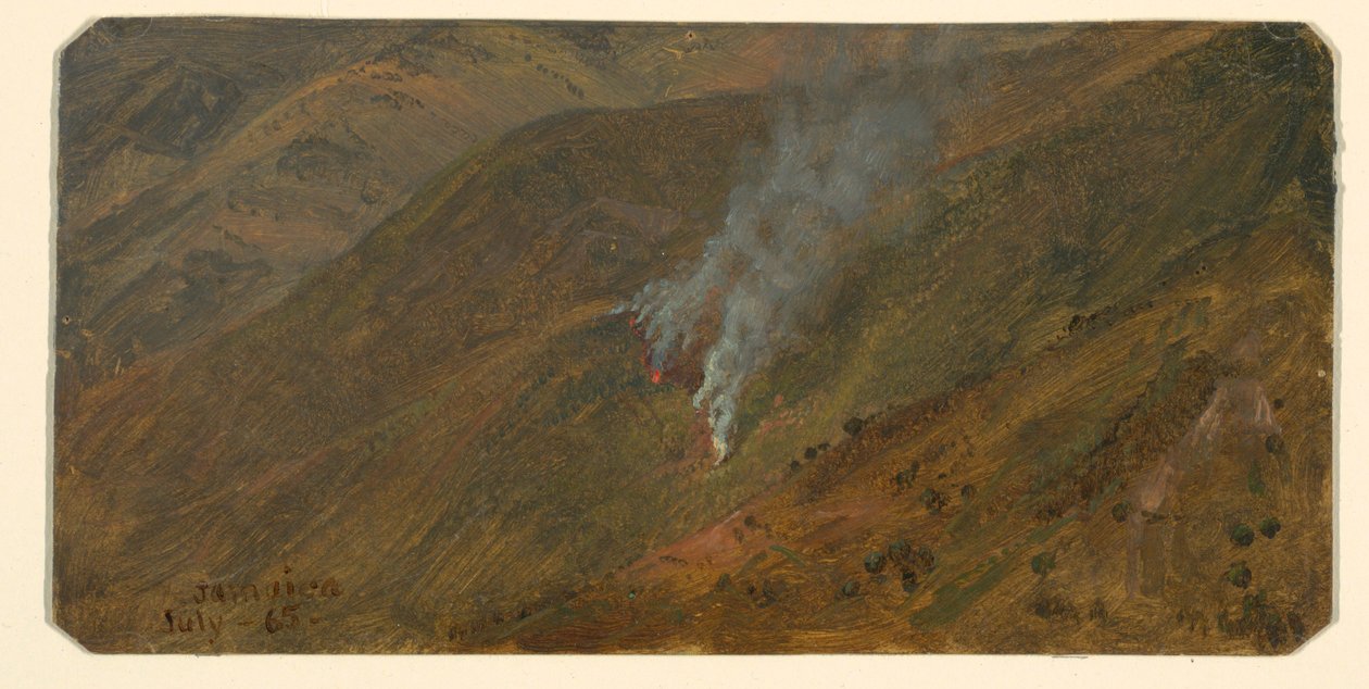 Rajz, Hegyoldal ecsettűzzel, 1865. június alkotó: Frederic Edwin Church
